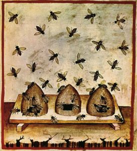 Bee Hives